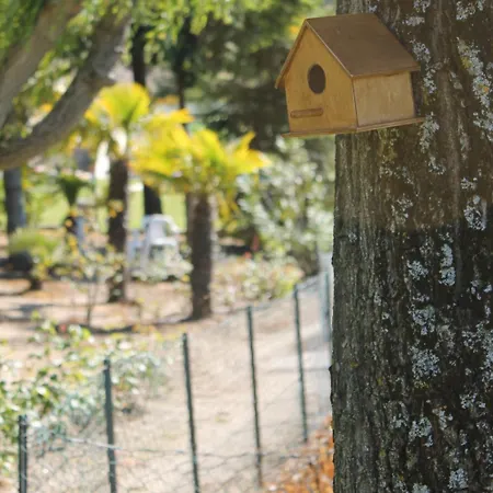 Quinta Da Timpeira