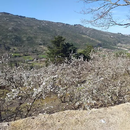 Quinta Da Timpeira