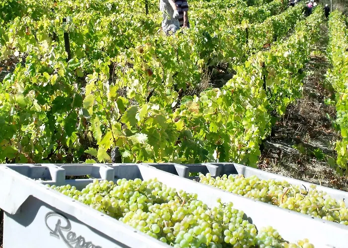 Quinta Da Timpeira Hotel 3*